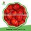 Reasonable price frozen strawberry ready for supply