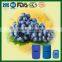 Hot Sale Grape Seed Oil from China Manufacturer
