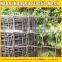 plastic garden mesh/netting