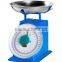 High quality Kitchen dial spring scale mechanical weighing apparatus