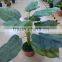SJ12001162 Name potted decorative foliage plant plastic plant indoor