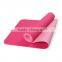 Wholesale ECO Double Color Double Layer Anti-slip TPE Yoga Mat For Fitness