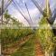 agriculture anti hail net ,anti hail systems, greenhouse used anti hail netting