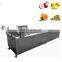 Air bubble salad vegetable fruit washing cleaning machine