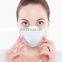 Professional Personal Protective Equipment Nose Mask for Grinding