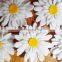 White Felt Daisies,Die Cut Felt Flowers