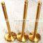100cc 250cc motorcycle parts engine valves For Pagsta Choppa 100 Cruisa 250 KRB 250 krb250 Sports