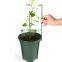 Reusable Best High Quality Indoor 16 inch Extendable Plants Bendable Plastic Moss Pole
