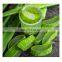 Aloe Vera Chunk From Vietnam