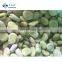 Crop IQF Bulk Fresh Broad Beans Quality Fava Bean Export