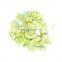 Bulk IQF Frozen Cauliflower with Green Stem