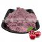 Factory Supply Natural VC Extract Dried Halal Acerola Cherry Extract