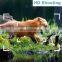 APP Hunting Trail 4G hunting camera 2K 30MP Trap Game Wildlife Camera HC-801Plus with Cloud Service hc-810 hunting camera 4g 3g