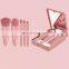 Amazon 5pcs Mini Complete Function Cosmetic Brushes Kit with Mirror Travel Makeup Brush Set