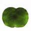 Green Colored Leaf Table Placemats For Wedding Dinning Table Decoration