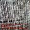 galvanized wire mesh?