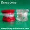 dentist use transparent Dental Care dental education models