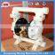 Pneumatic Diaphragm Pump/Air Operated Diaphragm Pump