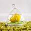 Factory Direct LED Touch Sensor Lamp in Yellow