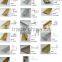 stair nose trim profile/ aluminum flooring profile/ aluminum tile trim