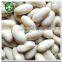 New Crop Dry White Kidney Beans For Sale