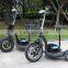 Two seat popular 350w 36v 3 wheel electric bike cheap mobility scooter for adult