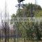 Hunting Tripod Tree Stand/hunting Treestand/shooting Ladder Tree Stand Quality Choice