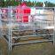 1.8*2.1m Australia standard heavy duty cheap cattle corral panels for sale