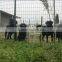 Anping factory best selling cattle fence/field fence