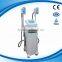 MSLCY02-6 New 3 In 1 Zeltiq Multi-function Cryolipolysis Slimming Machine/cavitation Slimming Machine Body Reshape