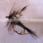 Adams Dry trout flies