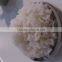 Rice Steamer with Stainless Steel Industrial Food Gas Cooker