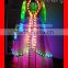 Lights LED Dance Costumes / Belly Dance Dress / Luminous Skirt