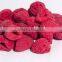 FD Dried Fruits-Frozen Dried raspberry whole with best price