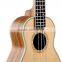 21inch soprano ukulele zebrawood ukulele china wholesale ukulele (UK21-60)