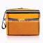 Customized Top Quality Various Color Cooler Bag Beer Cooler Bag Made in China