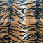 tiger disign vinyl wallpaper