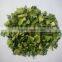 chinese dehydrated leek flake