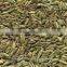 cumin seeds and fennel seeds in tamil