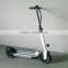 48v two wheel fold electric scooter/bicycle skateboard/two wheel fold scooter