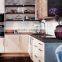 High glossy lacquer modern kitchen cabinet frosted glass doors