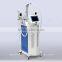 Cryolipolysis Vacuum Laser Cool Sculpting Cavitation Slimming Machine 500W
