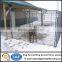 Hot sell dog kennel cage wire mesh fence panels