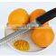 Cheap cheese zester grater