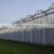 Hot Sale Agriculture Used PCsheet Greenhouse commercial used