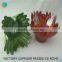 Glass plate flowers with cheap price