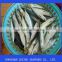 pacific mackerel frozen fish