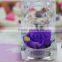 Natural Preserved Fresh Flowers With Good Quality For Holiday Gift