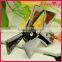 latest fashion small metal decorative shoe clip WSC-324
