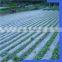 Quick delivery pla biodegradable material with good quality